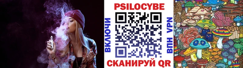 Галлюциногенные грибы Psilocybine cubensis  Чегем 